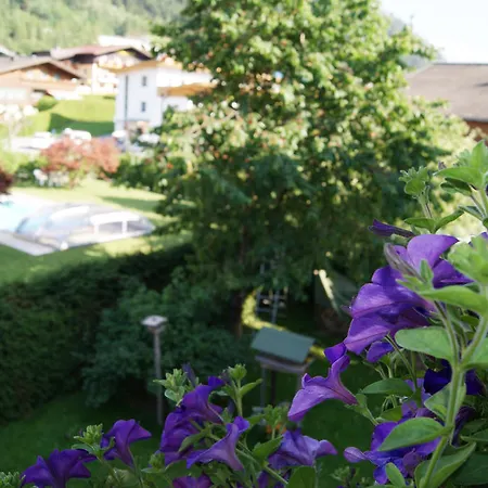 Hartsleben פלאכאו